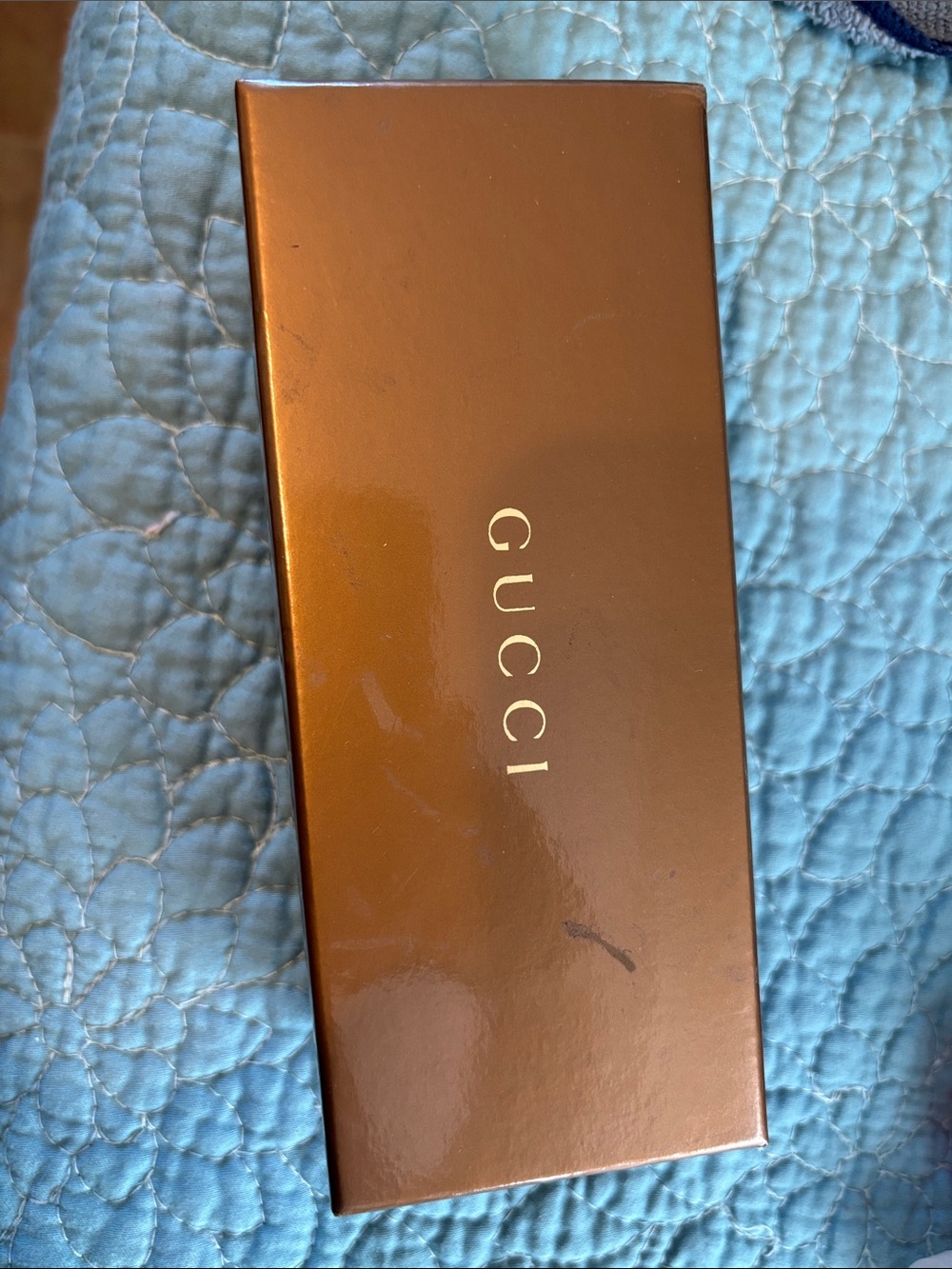 Gucci Brown Sunglasses Case with Gold Logo